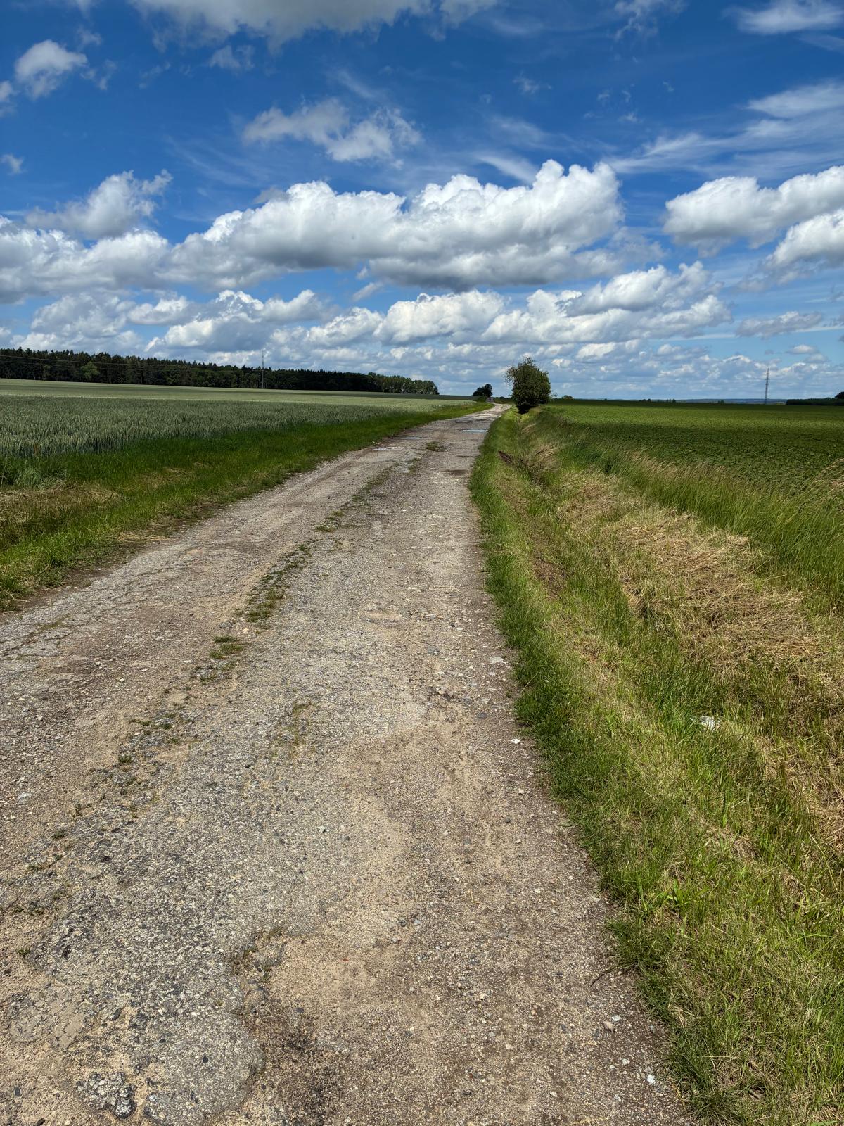 Diverzifikace rybářství — dokumentace projektu — fotografie 10