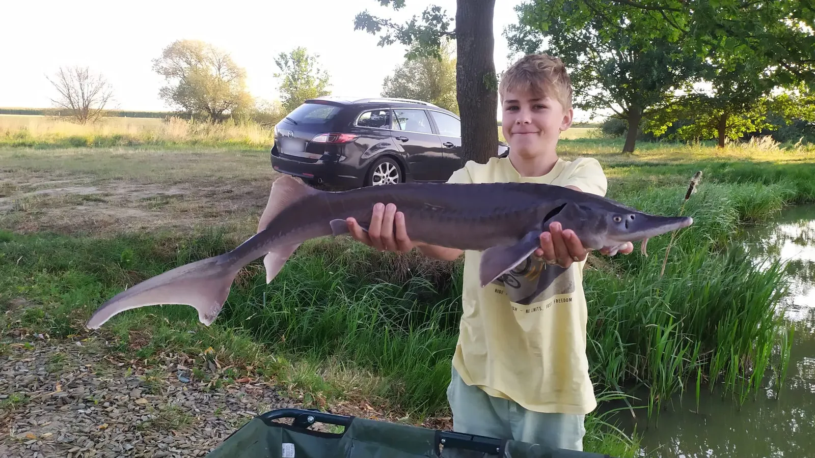 Hamr — photo from our anglers