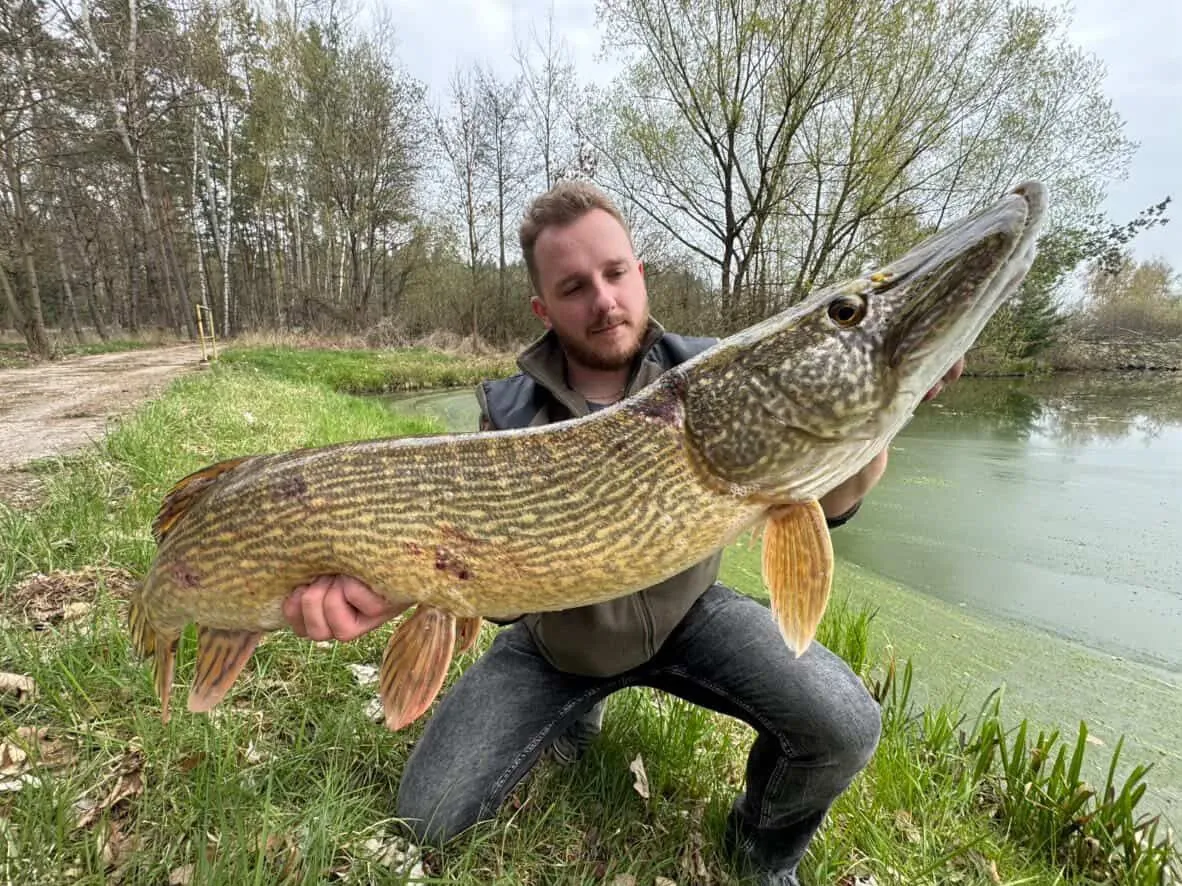 Pike Special at Žíšov — photo from our anglers